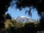 Tansania Kilimanjaro 5895