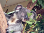 australien