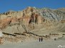 Nepal Mustang