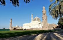 P1050539 (3)