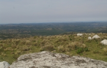 IMGP6026